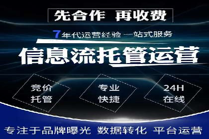 某电商平台的SEM推广实践与效果展示